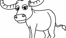 Buffalo clipart drawing, Buffalo drawing Transparent FREE ...