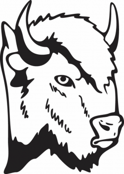 Buffalo bison head animal clip art for custom ts | Buffalo ...