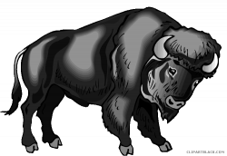 Water buffalo Clip art Portable Network Graphics Image ...