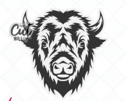 Buffalo clipart head, Picture #306364 buffalo clipart head