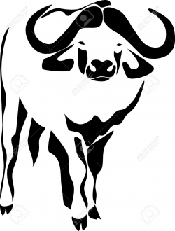 Indian buffalo clipart 6 » Clipart Station