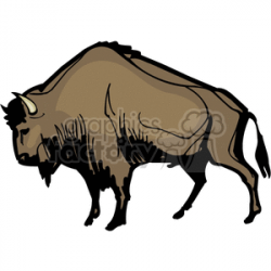 buffalo clipart - Royalty-Free Images | Graphics Factory