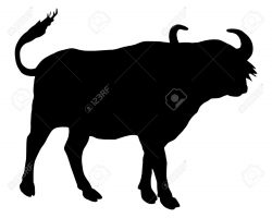 Indian buffalo clipart 8 » Clipart Station