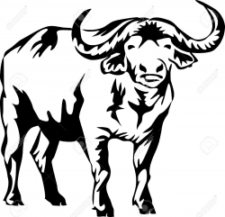 Indian buffalo clipart - ClipartAndScrap