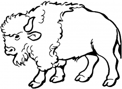 Clip Art Black And White Buffalo Clipart - Clipart Kid ...