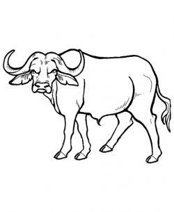 Free Buffalo Cliparts Black, Download Free Clip Art, Free ...