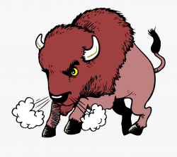 Bison Clip Art - West Middle School Buffalo #317191 - Free ...