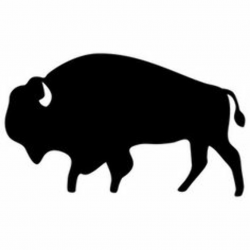 47 Best Buffalo silhouette images | Buffalo, Silhouette, Art