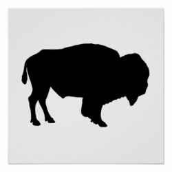 Buffalo Silhouette Poster | Zazzle.com | Silhouette images ...