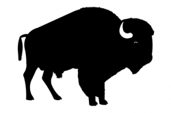 Buffalo Silhouette Clipart | Free download best Buffalo ...