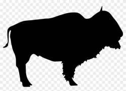 Buffalo Silhouette Clip Art Free At Getdrawings - Buffalo ...