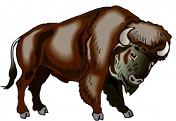 Free Buffalo Transparent, Download Free Clip Art, Free Clip ...