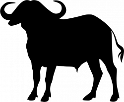 Buffalo PNG Images Transparent Free Download | PNGMart.com