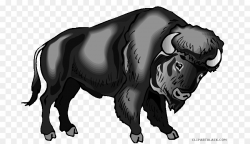 Download for free 10 PNG Buffalo clipart transparent top ...