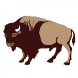 Buffalo clipart transparent, Buffalo transparent Transparent ...
