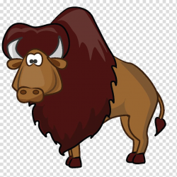 Download for free 10 PNG Buffalo clipart transparent top ...