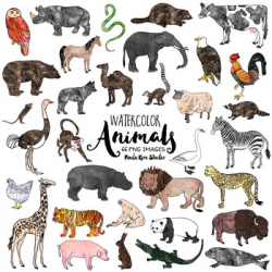 Watercolor Animal Clip Art Bundle