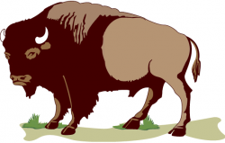 Free Buffalo Cliparts, Download Free Clip Art, Free Clip Art ...