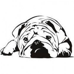 11 Best BULLDOG CLIPART images in 2015 | Bulldog clipart, Clip art ...