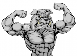 A tough mean strong bulldog sports mascot Royalty-Free Stock Image ...