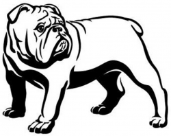 English Bulldog Clipart | Free download best English Bulldog Clipart ...