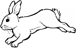 Images For Hopping Bunny Clipart - Clip Art Library