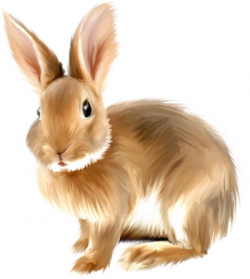 Painted bunny clipart clipart bunnies - Clipartix