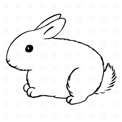 Small Rabbit Clipart & Free Clip Art Images #3351 - Clipartimage.com
