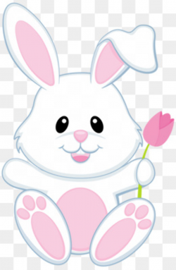Rabbit PNG Images, Download 10,463 PNG Resources with Transparent ...