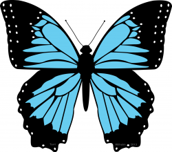 Black and blue butterfly clipart the cliparts – Gclipart.com