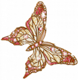 animated glitter butterflies images | Free Animated Butterfly ...