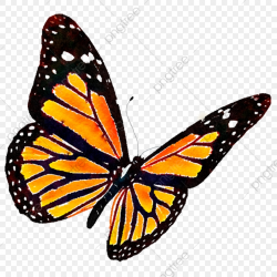 Monarch Butterfly, Butterfly Clipart, Monarch PNG Transparent ...