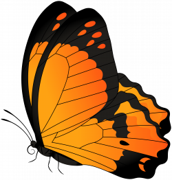 Butterfly Orange Transparent Clip Art Image | Gallery Yopriceville ...