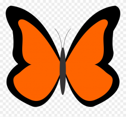Bug Clipart Orange Butterfly Pencil And In Color Bug - Orange Color ...