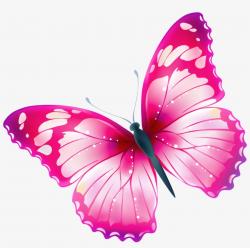 Pink Butterflies Clipart - Transparent Butterfly Clip Art ...