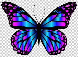 Butterfly Purple Blue PNG, Clipart, Blue, Brush Footed Butterfly ...