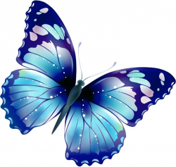 Butterflies butterfly clip art butterfly clipart - Clip Art Library