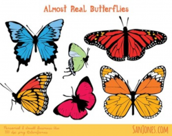 Butterflies Clip Art - Realistic Butterfly Illustrations - Digital Clipart-