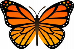 Collection of free Butterflies clipart realistic. Download on UI Ex