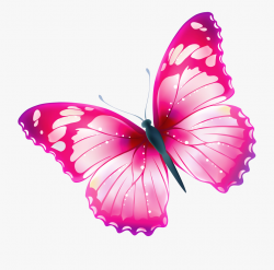 Download for free 10 PNG Butterflies clipart transparent ...