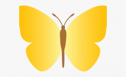 Butterfly Clipart Simple - Brush-footed Butterfly #2537913 ...
