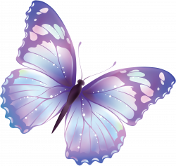 Large Transparent Butterfly PNG Clipart | Gallery ...