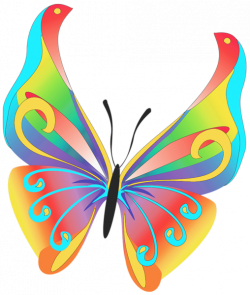 BUTTERFLY CLIP ART | Animals | Butterfly clip art, Butterfly ...