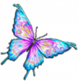 Free Butterfly Animations - Animated Butterfly Gifs - Clipart