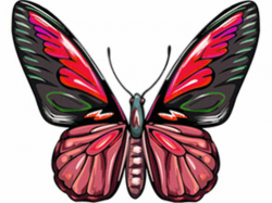 Free Animated Butterfly Clipart - Butterfly Gifs - Graphics