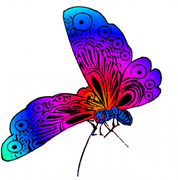 Beautiful butterfly images