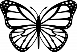 Butterfly Clipart Black And White | Clipart Panda - Free Clipart Images