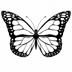 Free Butterfly Images Black And White, Download Free Clip Art, Free ...