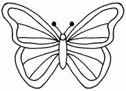 Butterflies Clipart Black And White | Free download best Butterflies ...