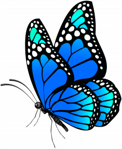 Butterfly Blue PNG Clip Art Image | Gallery Yopriceville - High ...